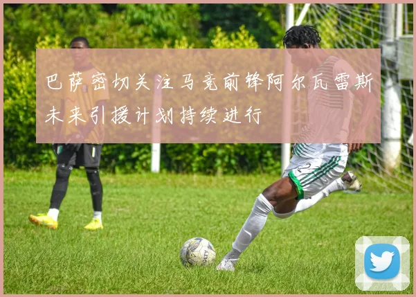 巴萨密切关注马竞前锋阿尔瓦雷斯未来引援计划持续进行