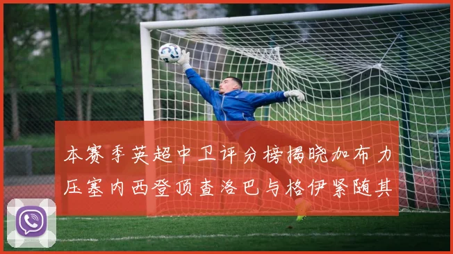 本赛季英超中卫评分榜揭晓加布力压塞内西登顶查洛巴与格伊紧随其后