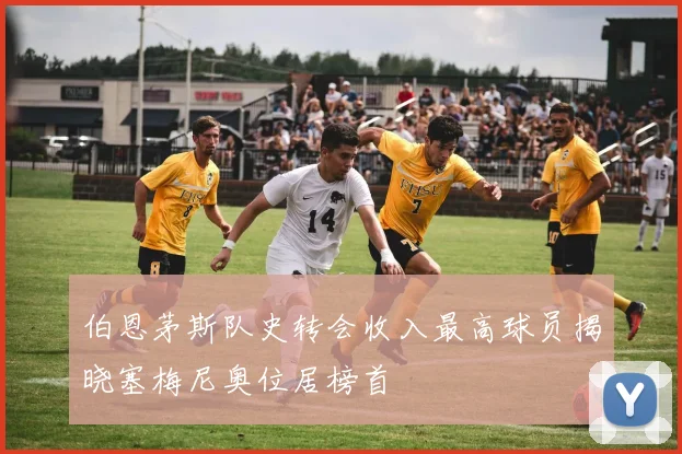 伯恩茅斯队史转会收入最高球员揭晓塞梅尼奥位居榜首