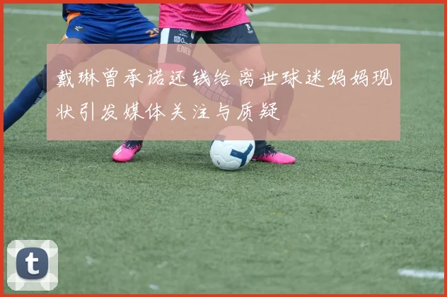 戴琳曾承诺还钱给离世球迷妈妈现状引发媒体关注与质疑